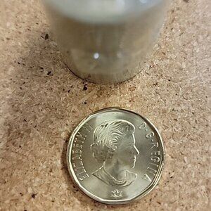 Lot of 22 Canada 2017 BU Loonie Connecting a Nation One $1 Dollar Loon Coin Unc.